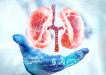 7 Essential Tips for Maintaining Kidney Health