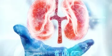 7 Essential Tips for Maintaining Kidney Health
