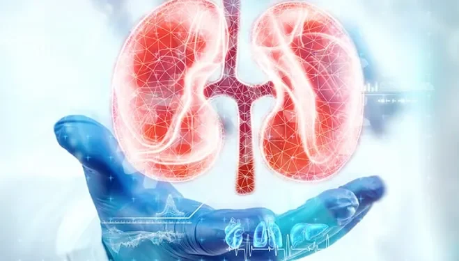 7 Essential Tips for Maintaining Kidney Health