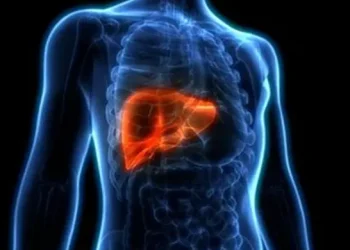 11 Essential Tips for Maintaining a Healthy Liver