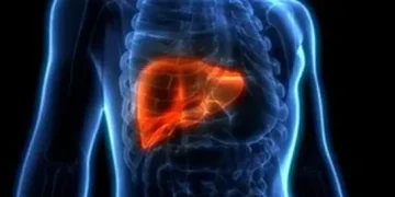 11 Essential Tips for Maintaining a Healthy Liver