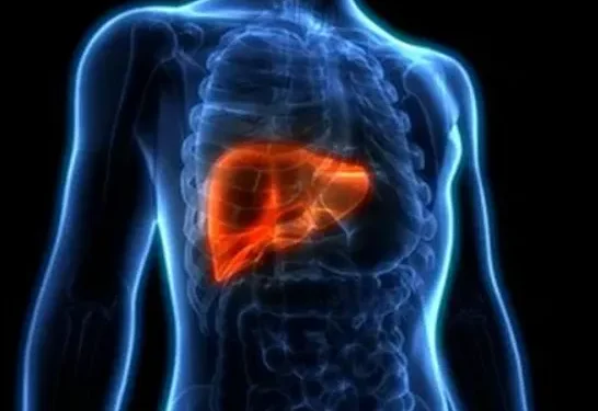 11 Essential Tips for Maintaining a Healthy Liver
