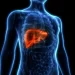 11 Essential Tips for Maintaining a Healthy Liver