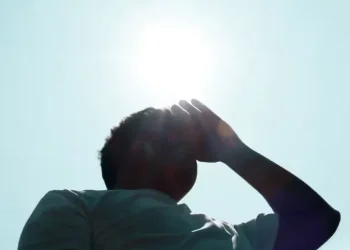 How Summer Heat Impacts Your Blood, Energy, and Immunity