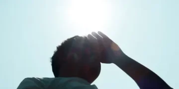 How Summer Heat Impacts Your Blood, Energy, and Immunity