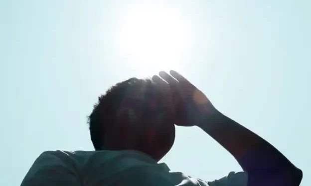 How Summer Heat Impacts Your Blood, Energy, and Immunity