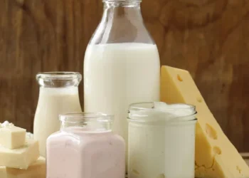 Do Meat and Dairy Increase Cancer Risk?