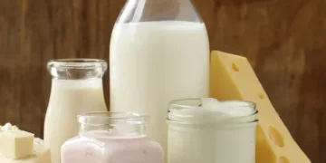 Do Meat and Dairy Increase Cancer Risk?