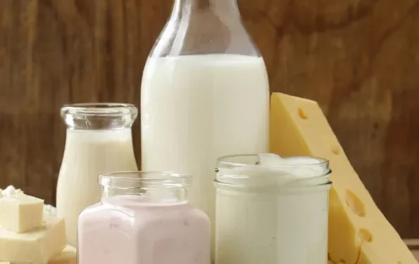 Do Meat and Dairy Increase Cancer Risk?