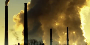 Air Pollution Explained: Major Causes, Harmful Pollutants, and How We Can Make a Change