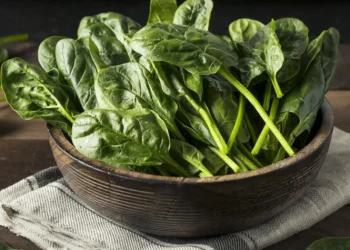 Top Vegan Sources of Iron and How to Boost Absorption