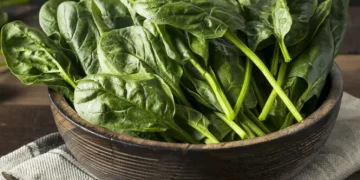 Top Vegan Sources of Iron and How to Boost Absorption