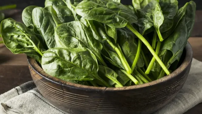 Top Vegan Sources of Iron and How to Boost Absorption