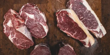 Why the Carnivore Diet Is a Dangerous Choice: 10 Key Reasons to Avoid It