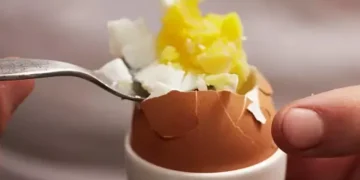Are Eggs Beneficial or Harmful to Your Health? Is Eating Eggs Daily Safe?