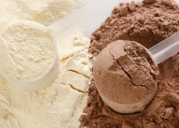 Vegan Protein vs Whey Protein: Which One Is the Better Choice?