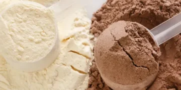 Vegan Protein vs Whey Protein: Which One Is the Better Choice?