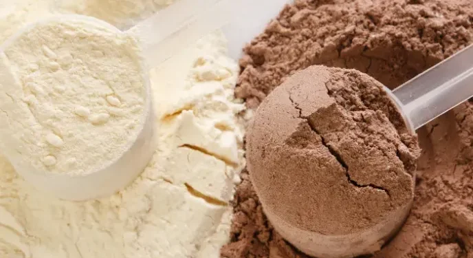 Vegan Protein vs Whey Protein: Which One Is the Better Choice?