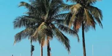 10 Essential Tips for Visiting Rio de Janeiro