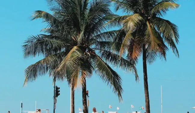 10 Essential Tips for Visiting Rio de Janeiro