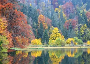 7 Must-Visit European Destinations This Autumn