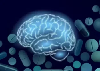 The Power of L-Theanine: A Natural Boost for Your Brain