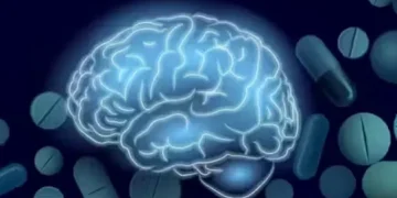 The Power of L-Theanine: A Natural Boost for Your Brain