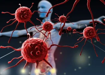 How Stress Impacts Your Immune System