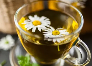 How to Restore and Maintain a Healthy Gut Flora