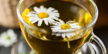 How to Restore and Maintain a Healthy Gut Flora