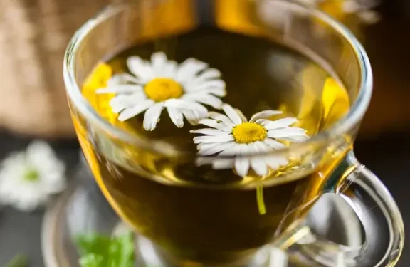 How to Restore and Maintain a Healthy Gut Flora